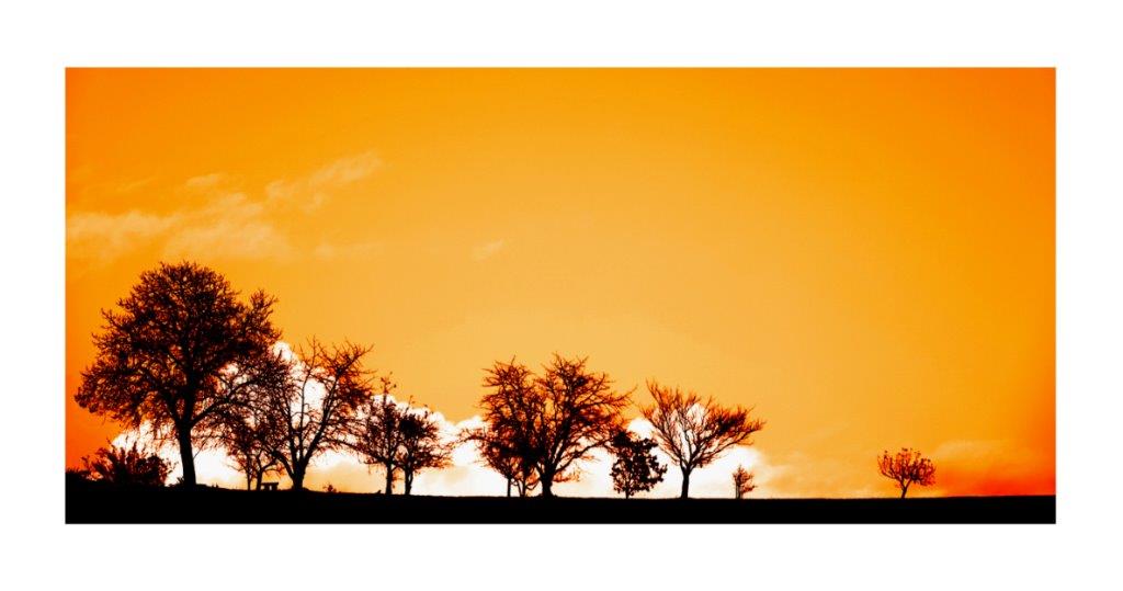 Zwischen Winter und Frühling (3)