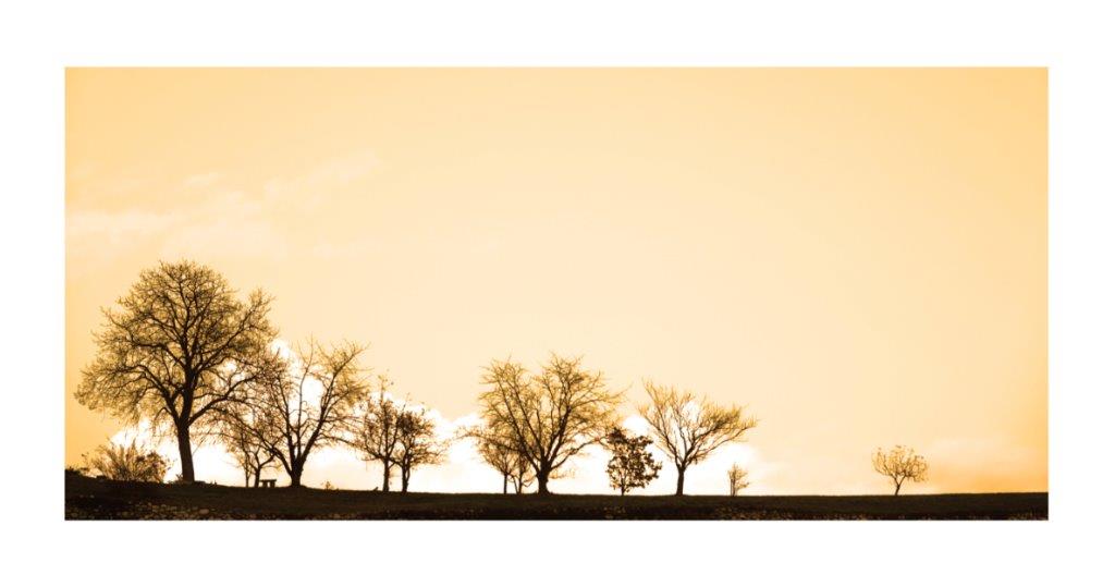 Zwischen Winter und Frühling (4)