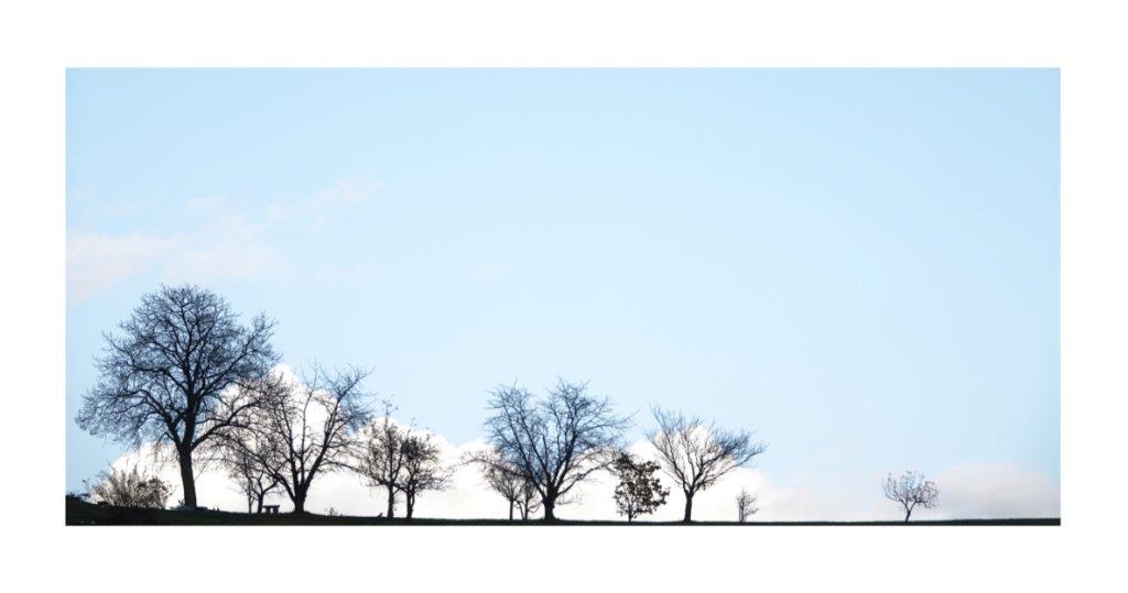 Zwischen Winter und Frühling (5)